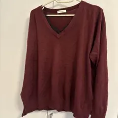 earth music&ecology バーガンディ Vネックセーター値下げ