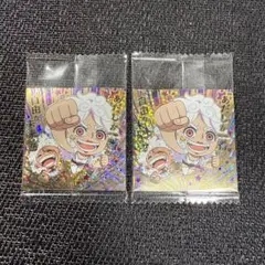 ⭐︎ワンピース大海賊シールウエハースLOG.13 01 ルフィ&ボニーSGR2枚