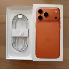 Apple iPhone 17 Pro Max 1TB空箱