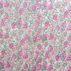 レア！希少カラー！アシュテッド04P2　リバティタナローン生地