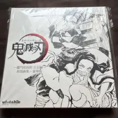 鬼滅の刃 柱稽古編 幕間画集 豪華版 -水柱・冨岡義勇edition- - メルカリ