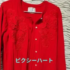 赤い花柄刺繍カーディガン【ピクシーハート】大きなサイズLL