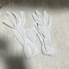 Item thumbnail for item 109553d9-3f0f-4bcb-9a37-a357026d9a34