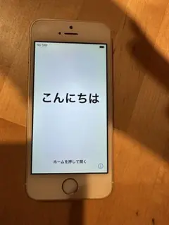 Apple iPhone SE 64GB シルバー 本体62