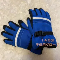 スキー手袋 手袋