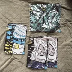 Item thumbnail for item d0b20c15-05de-462a-9194-23bf915083e6