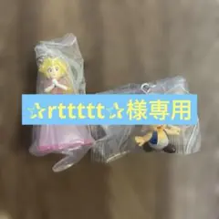 スーパーマリオ　めじるしアクセサリー2