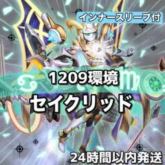 D4-51 1209環境 セイクリッド 構築済みデッキ 75