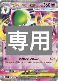 専用