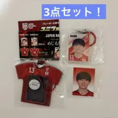 バレーボール スポーツ選手