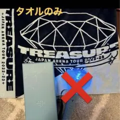 TREASURE ペンラ&タオル 別売り可