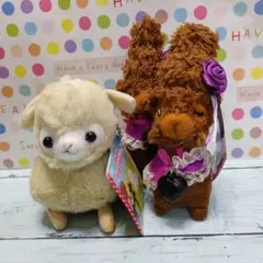 ①アルパカッソ♦ぬいぐるみ3体セット