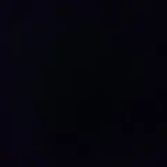 専用