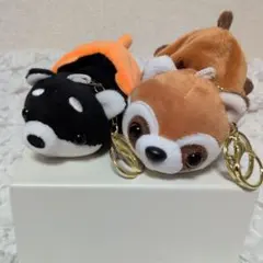 Item thumbnail for item 11679c54-580b-4310-9c29-3eaa59f5c2f6