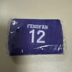 INI カプセルトイ　許豊凡　リストバンド