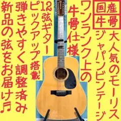 牛骨】Fender☆SONORAN！アコギ！【弾き易く調整☆新品の弦】 - メルカリ