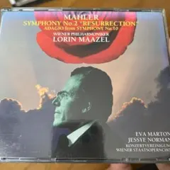 2026年最新】バーンスタイン マーラー 交響曲全集 DVDの人気アイテム