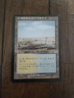 ◆広漠なるスカイクラウド 日本語1枚