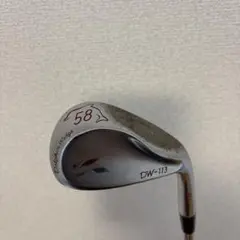 Fourteen Dolphin Wedge DW-113 58度のサムネイル