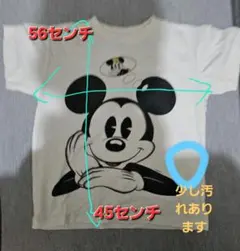 Item thumbnail for item 2353290b-90ec-48e2-b0cc-fff1922debb0