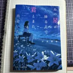 あの星が降る丘で、君とまた出会いたい。