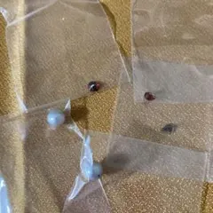 ラウンドビーズセット（グレー・パープル・レッド）