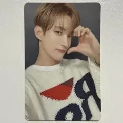 最安値】SEVENTEEN セブチ ドギョム 舞い落ちる花びら A盤 トレカ