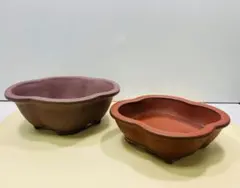 盆栽鉢 木瓜鉢　小品盆栽 山野草 多肉植物　色違いで　２点