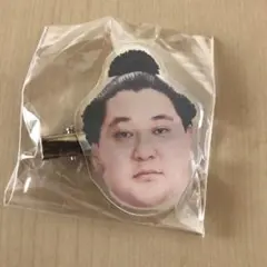 大相撲 ガチャ ヘアピン 狼雅