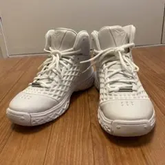 Kobe 3 Protro