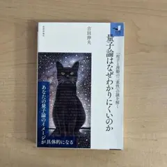 量子論はなぜわかりにくいのか 「粒子と波動の二重性」の謎を解く