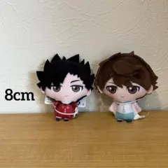 ハイキュー‼︎ ぬいぐるみちゃーむ