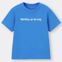 Item thumbnail for item 6b77c290-2faf-48c2-a981-91e9b85faf51