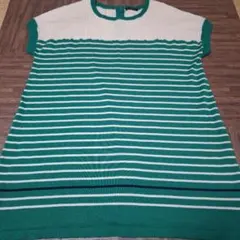 極美品大きいサイズグリーンノート半袖チュニックサイズ21イーストボーイ