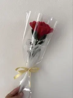 Item thumbnail for item 595f6146-48f1-44eb-a19f-963e7cd4dd40