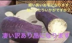 さつまいも紅はるか細長いなどのお芋になります「加工用」凄い訳あり9kg