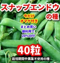 カズ様 リクエスト 3点 まとめ商品