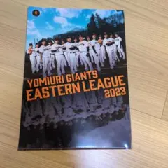 Item thumbnail for item 572e2c90-08ce-4545-9f2e-89e99970f8e1