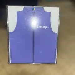 SMAP / Smap Vest 2枚組 CD パープル