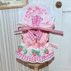 刺繍のワンピース୨୧ピンク苺＊ボンネット付き　赤ちゃんサイズ　ドール服