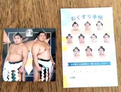 大相撲 二横綱ステッカー＋おくすり手帳風ステッカー＋令和七年九月場所観戦ガイド