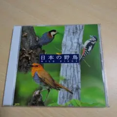 自然音 日本の野鳥