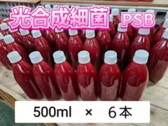 PSB【500ml×6本】光合成細菌 メダカ 水質 バクテリア エサ 濾過産卵床のサムネイル