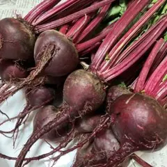 しだまあ様専用です。ビーツ葉付き「農薬：栽培期間中不使用」