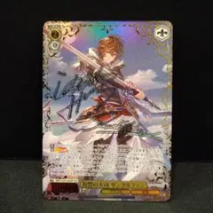 ヴァイス グラブル TDSP 十天衆を総べし者 主人公(男) - メルカリ