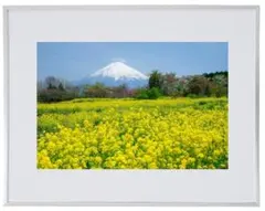 Item thumbnail for item 5bd19db1-28c9-40a3-b1f1-924ee5e5a792