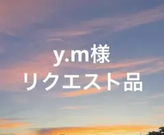 y.m様 リクエスト 3点 まとめ商品