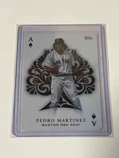 46シリ 2000E-X ペドロ・マルティネス エッセンシャル クレデンシャルズ 46シリ 2000E-X ペドロ・マルティネス エッセンシャル クレデンシャルズ