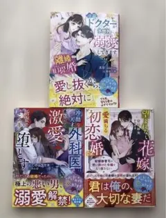 ベリーズ文庫　3冊セット