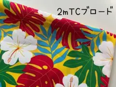 2m　ハワイアン　T/C　ブロード　モンステラ　生地　イエロー　＠1A